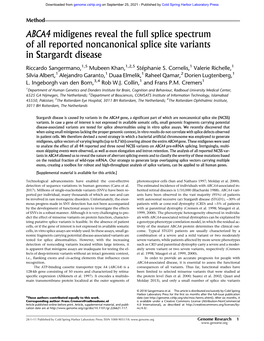 ABCA4 Midigenes Reveal the Full Splice Spectrum of All Reported Noncanonical Splice Site Variants in Stargardt Disease