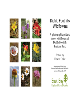 Diablo Foothills Wildflowers