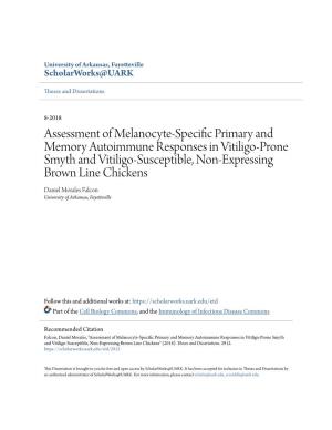 Assessment of Melanocyte-Specific Primary and Memory Autoimmune Responses in Vitiligo- Prone Smyth and Vitiligo-Susceptible, Non-Expressing Brown Line Chickens