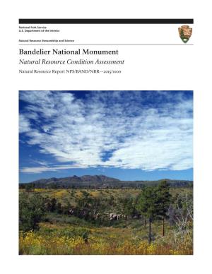Natural Resource Condition Assessment, Bandelier National Monument