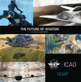 The Future of Aviation