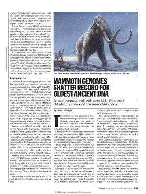 Mammoth Genomes Shatter Record for Oldest Ancient