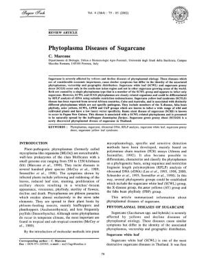 Phytoplasma Diseases of Sugarcane C