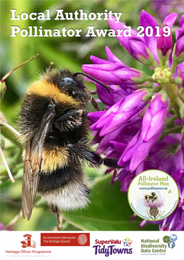 View Or Download the Tidy Towns Pollinator Award 2019 Newsletter