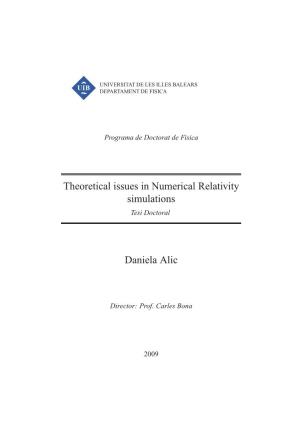 Theoretical Issues in Numerical Relativity Simulations Daniela Alic