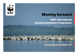 Moving Forward WWF International Danube-Carpathian Programme