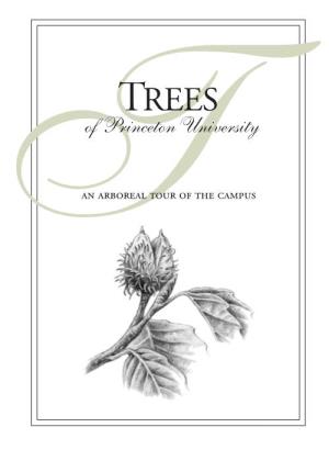 Trees on Princeton University Soil