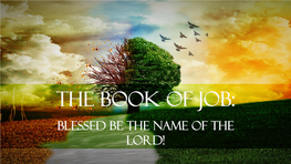The Book of Job: Blessed Be the Name of the Lord!