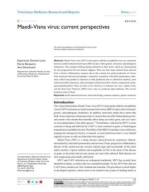 Maedi-Visna Virus: Current Perspectives