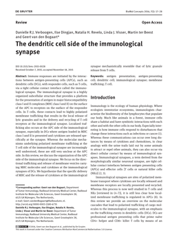 The Dendritic Cell Side of the Immunological Synapse