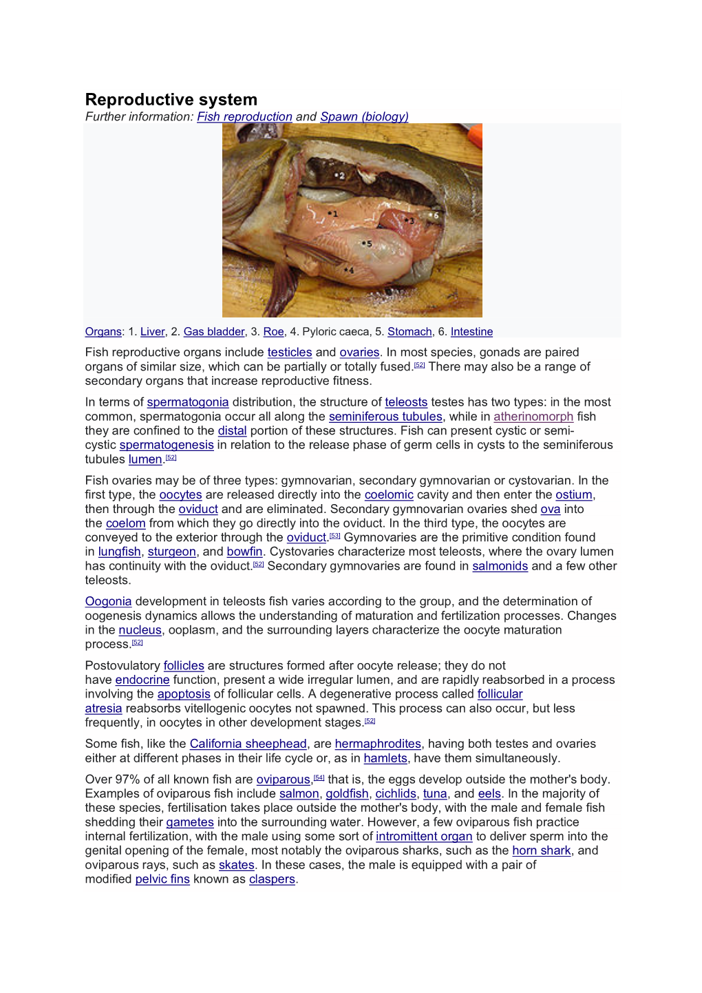 Reproductive System Further Information: Fish Reproduction and Spawn (Biology)