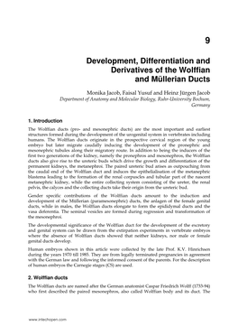 Development, Differentiation and Derivatives of the Wolffian and Müllerian Ducts