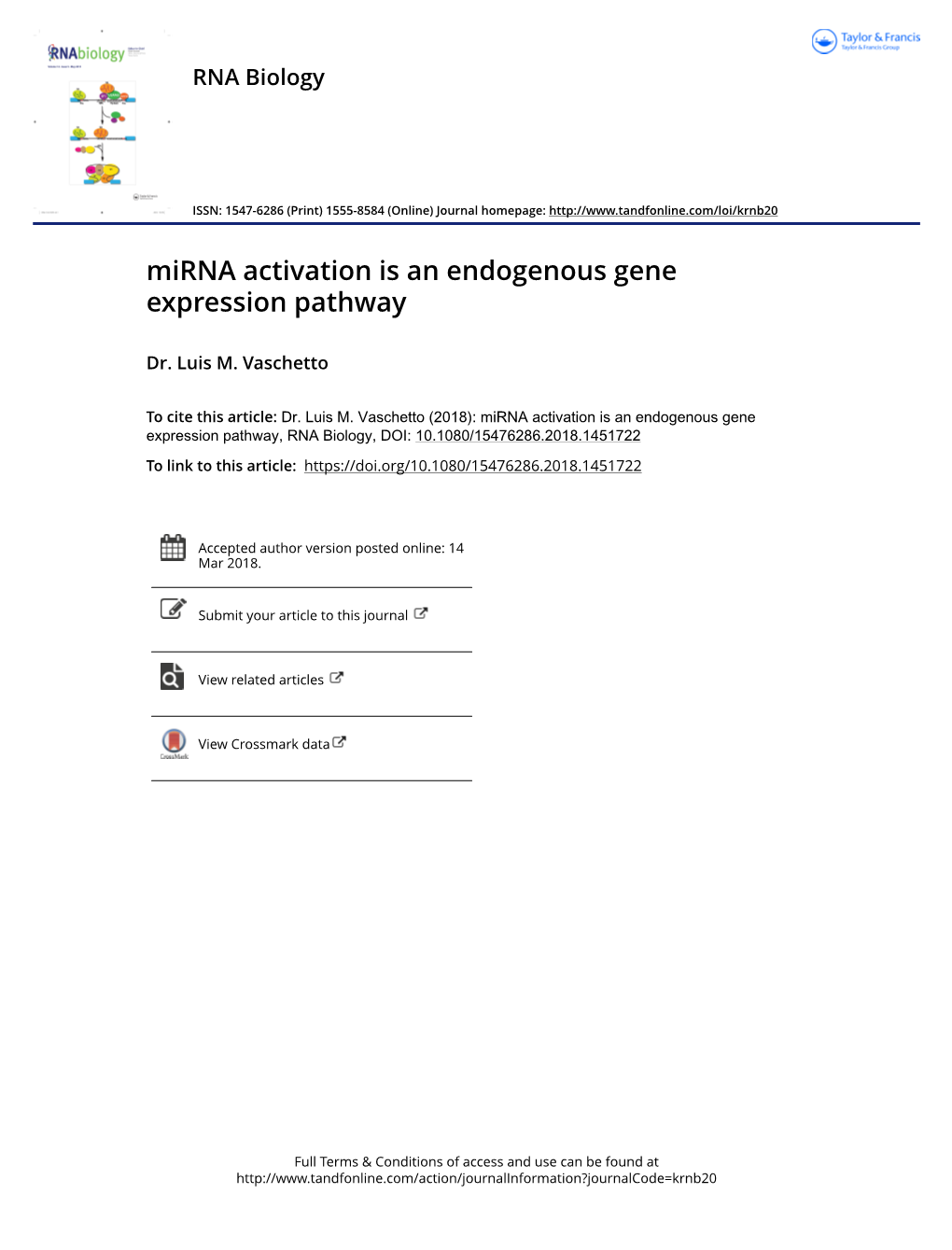 Mirna Activation Is an Endogenous Gene Expression Pathway