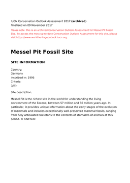 Messel Pit Fossil Site - 2017 Conservation Outlook Assessment (Archived)