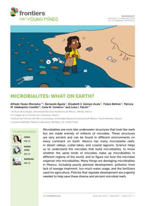 Microbialites: What on Earth?