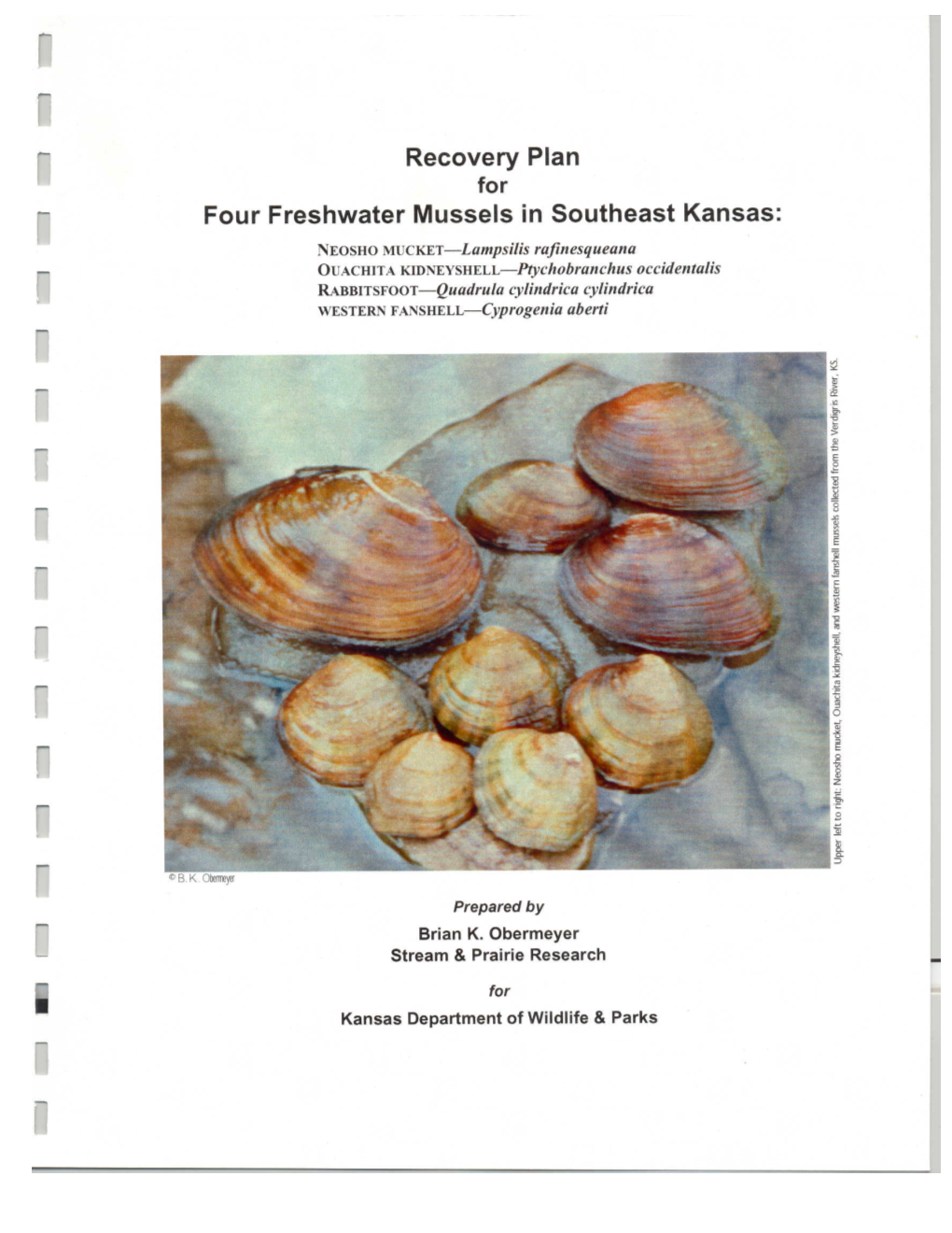 Final Copy of 4 Mussels Recovery Plan