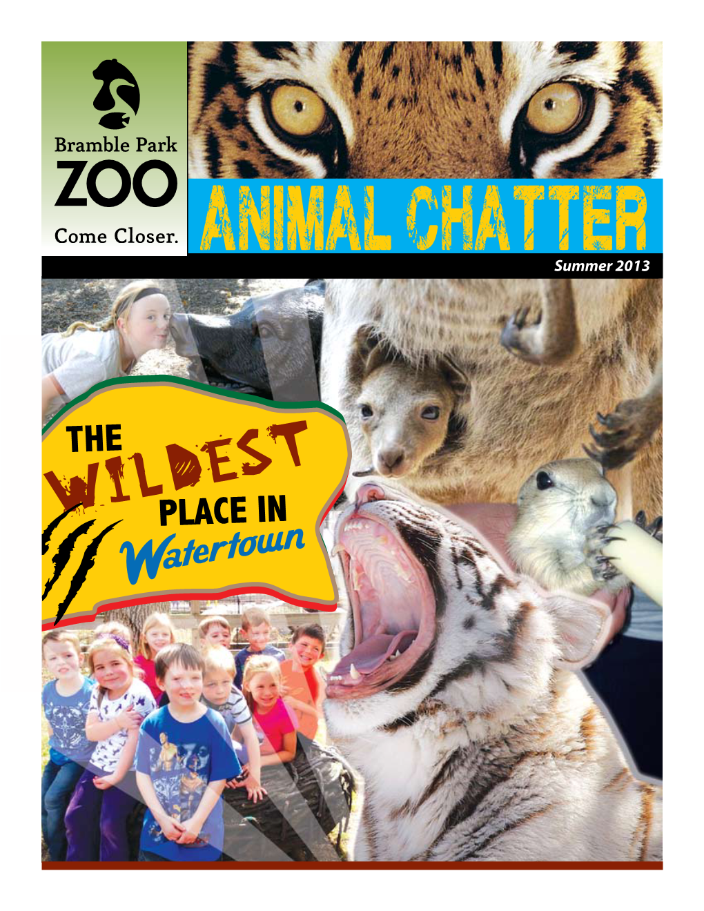 Animal Chatter Summerfall 20132012