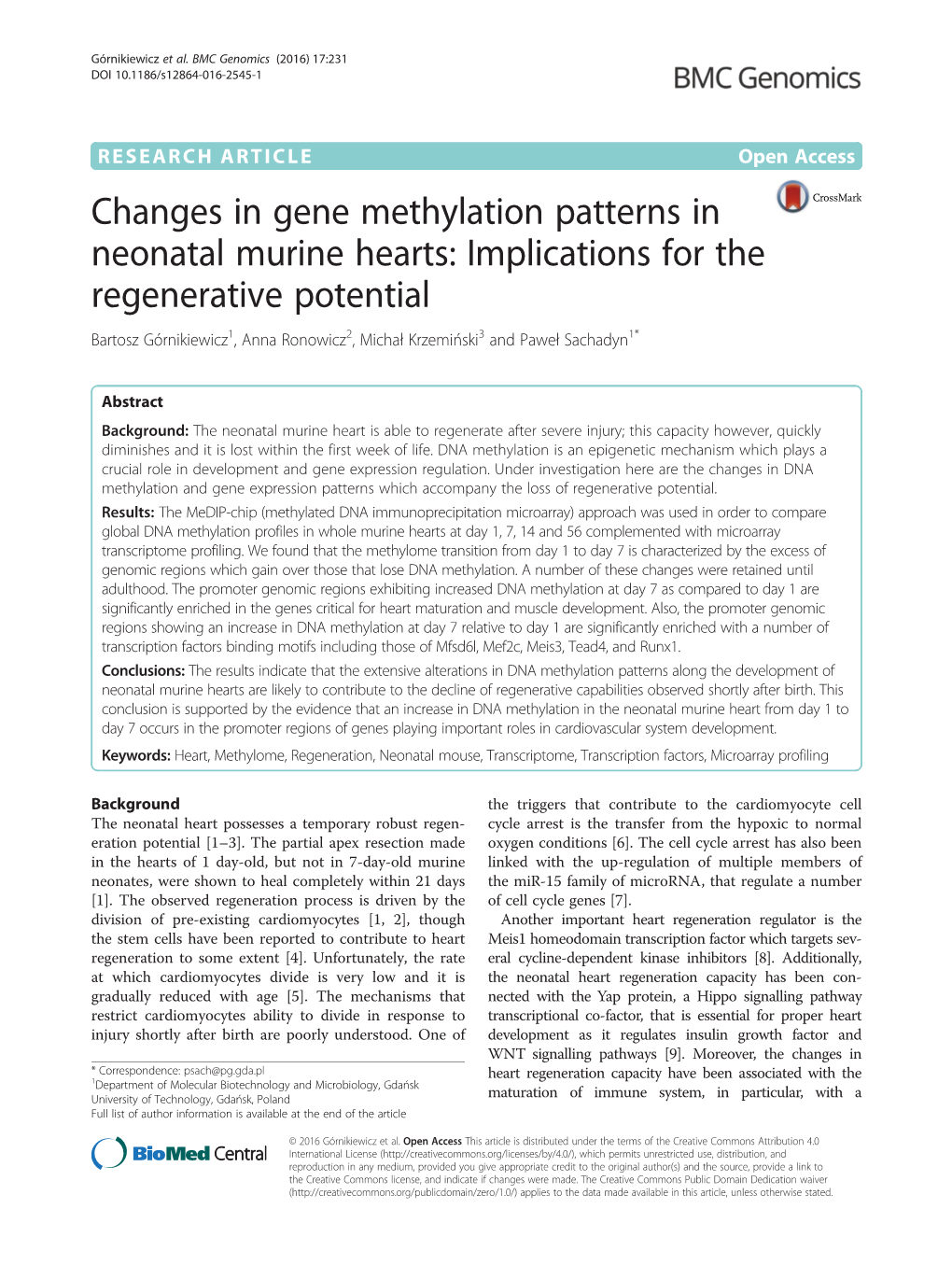 Changes in Gene Methylation Patterns in Neonatal Murine Hearts