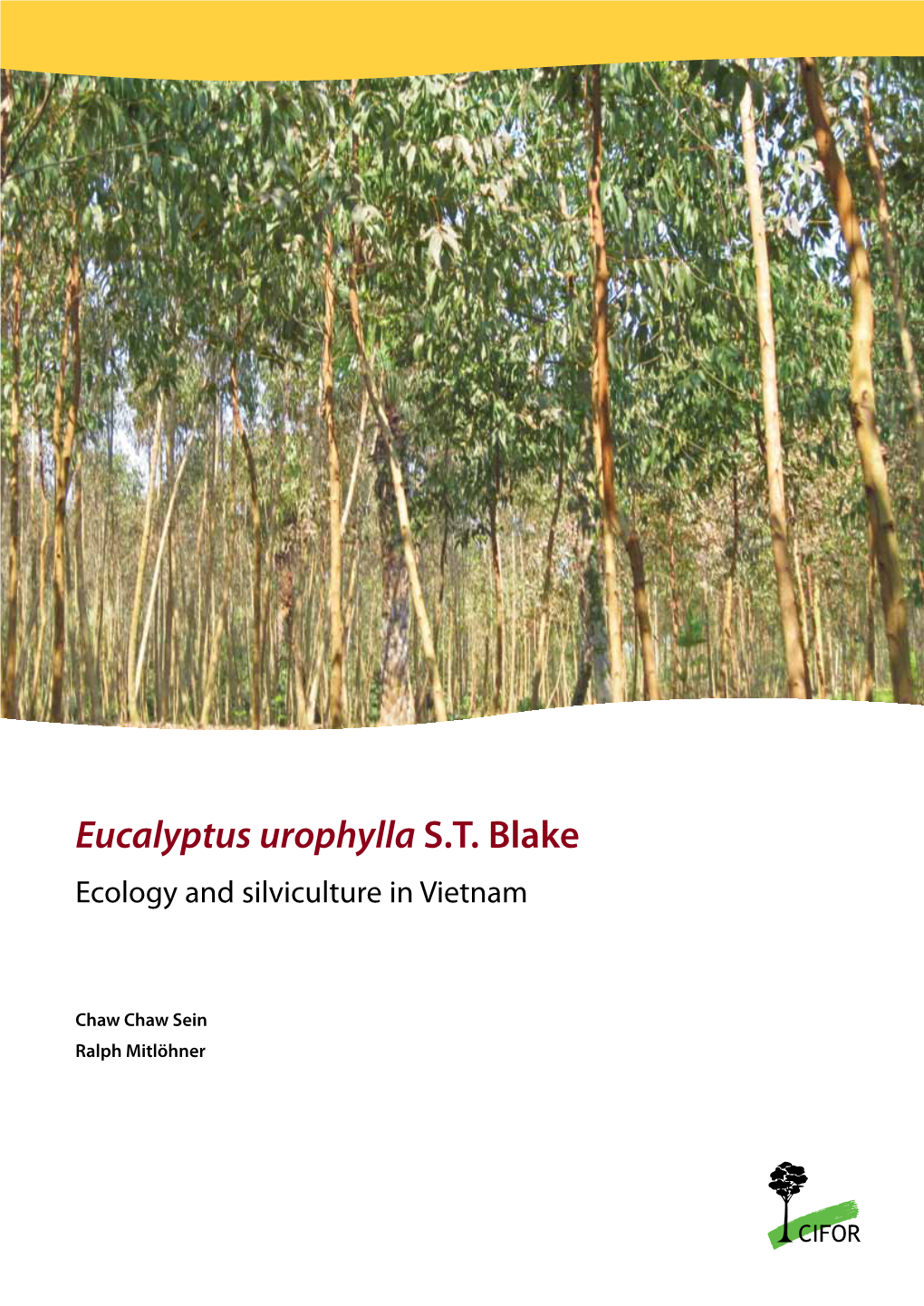 Eucalyptus Urophylla S.T