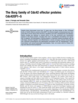 The Borg Family of Cdc42 Effector Proteins Cdc42ep1–5