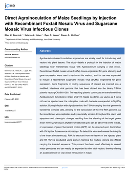 Direct Agroinoculation of Maize Seedlings by Injection with Recombinant Foxtail Mosaic Virus and Sugarcane Mosaic Virus Infectious Clones