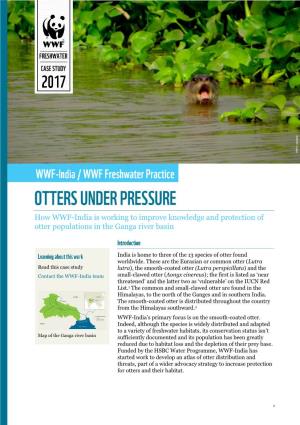 How WWF-India Is Working to Improve Knowledge and Protection of Otter Populations in the Ganga River Basin