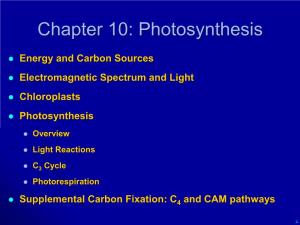 Biol 1020: Photosynthesis