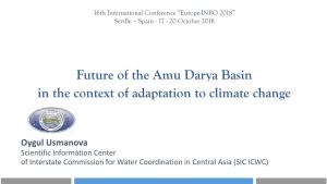 Future of the Amu Darya Basin in the Context of Adaptation to Climate Change