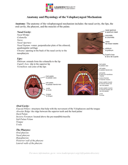 Anatomy and Physiology of the Velopharyngeal Mechanism