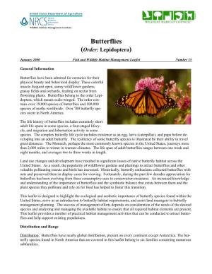 Butterflies (Order: Lepidoptera)