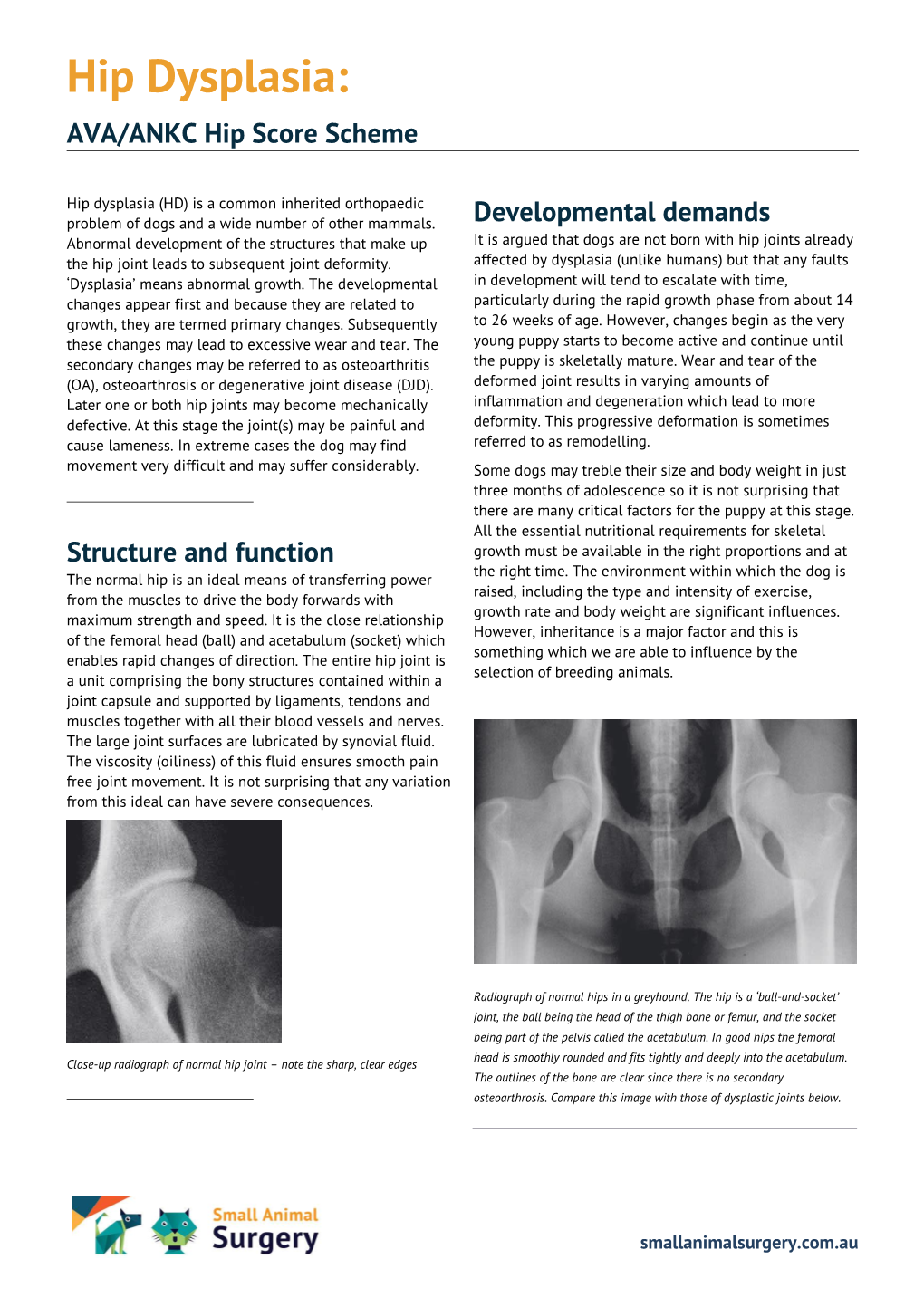 Hip Dysplasia AVA/ANKC Hip Score Scheme DocsLib