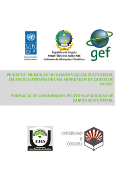 Projecto “Promoção Do Carvão Vegetal Sustentável Em Angola Através De Uma Abordagem Da Cadeia De Valor”