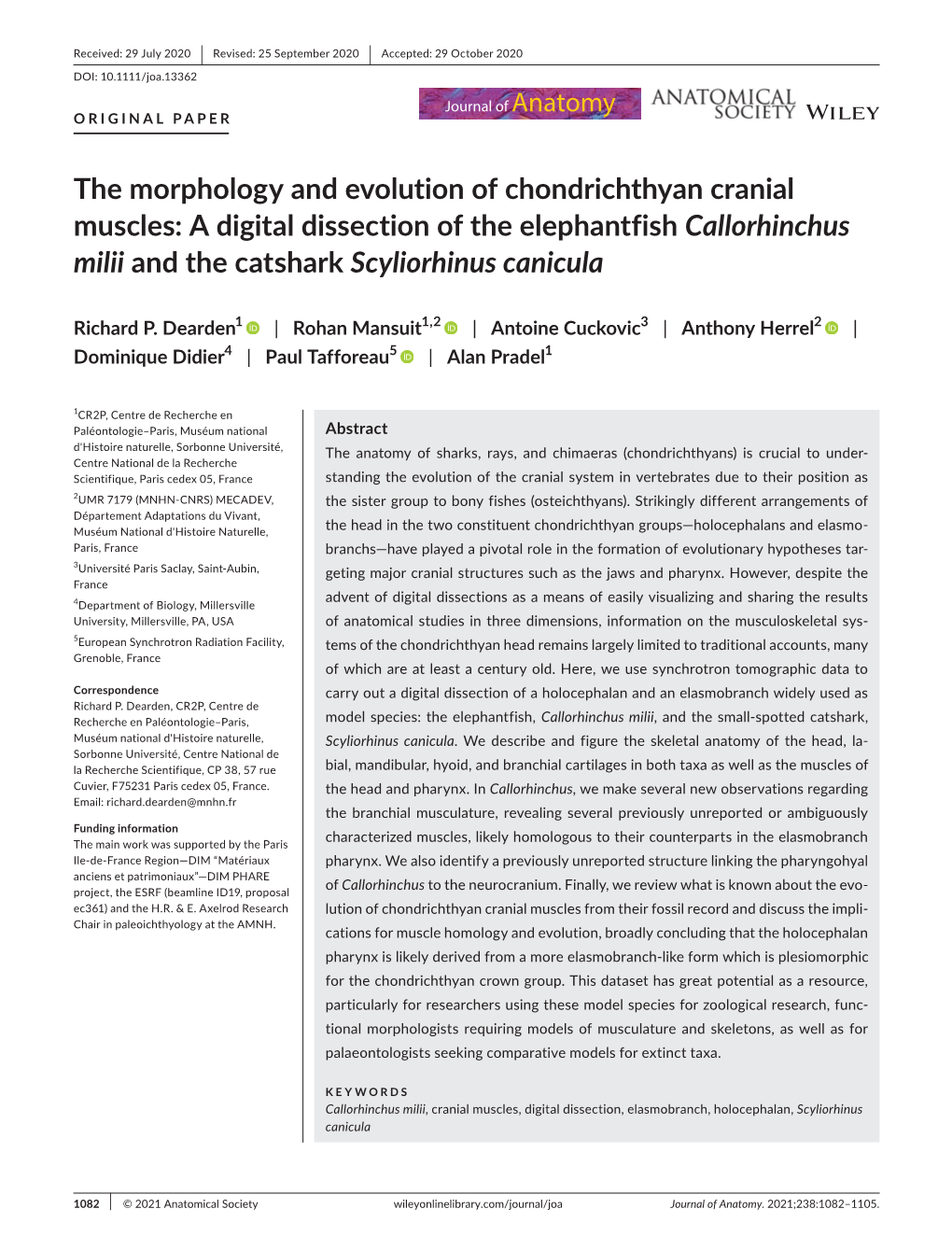 The Morphology and Evolution of Chondrichthyan Cranial Muscles: a Digital Dissection of the Elephantfish Callorhinchus Milii and the Catshark Scyliorhinus Canicula