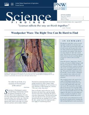 Woodpecker Woes: the Right Tree Can Be Hard to Find