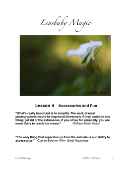 2014 Edit Lensbaby Class Lesson 4 Copy