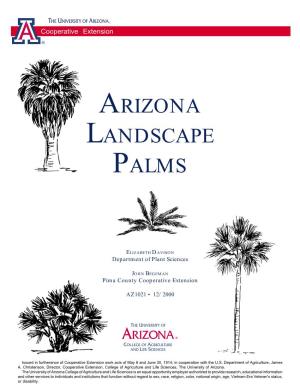 Arizona Landscape Palms