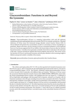 Glucocerebrosidase: Functions in and Beyond the Lysosome