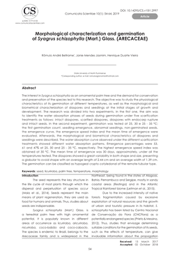 Morphological Characterization and Germination of Syagrus Schizophylla (Mart.) Glass