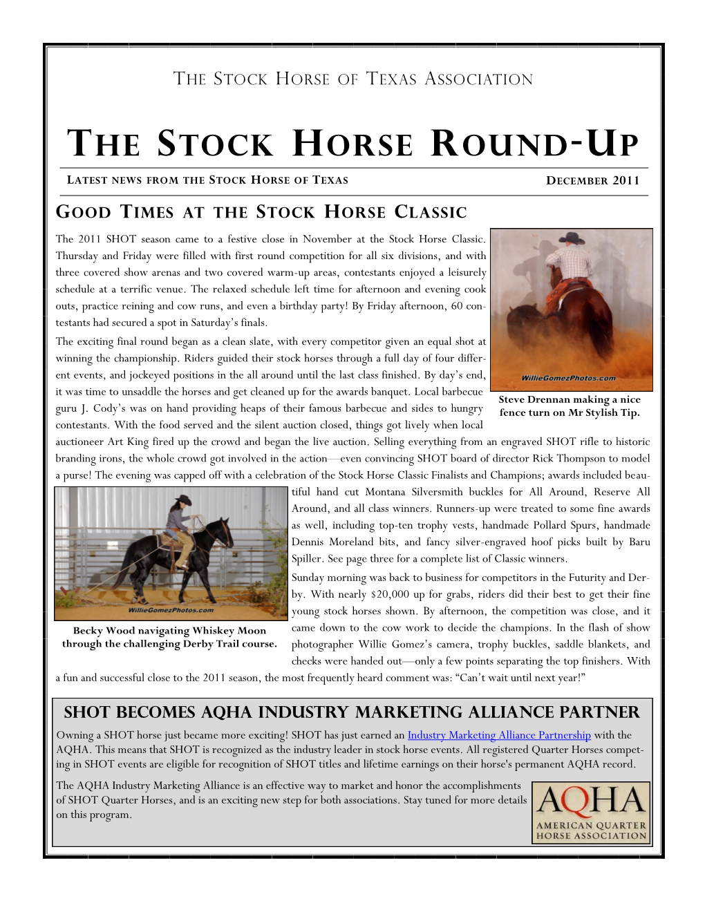 The Stock Horse Round-Up