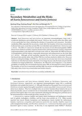 Secondary Metabolites and the Risks of Isaria Fumosorosea and Isaria Farinosa