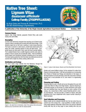 Native Tree Sheet: Lignum Vitae Guaiacum Officinale Caltrop Family (ZYGOPHYLLACEAE) by Brian Daley and Thomas W