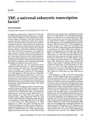 TBP, a Universal Eukaryotic Transcription Factor?