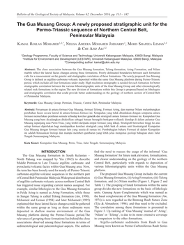 The Gua Musang Group: a Newly Proposed Stratigraphic Unit for the Permo-Triassic Sequence of Northern Central Belt, Peninsular Malaysia