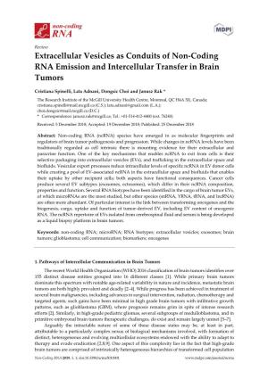 Extracellular Vesicles As Conduits of Non-Coding RNA Emission and Intercellular Transfer in Brain Tumors
