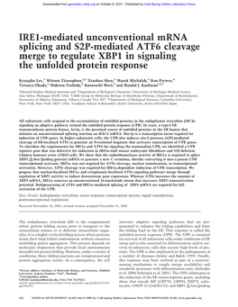 IRE1-Mediated Unconventional Mrna Splicing and S2P-Mediated ATF6 Cleavage Merge to Regulate XBP1 in Signaling the Unfolded Protein Response