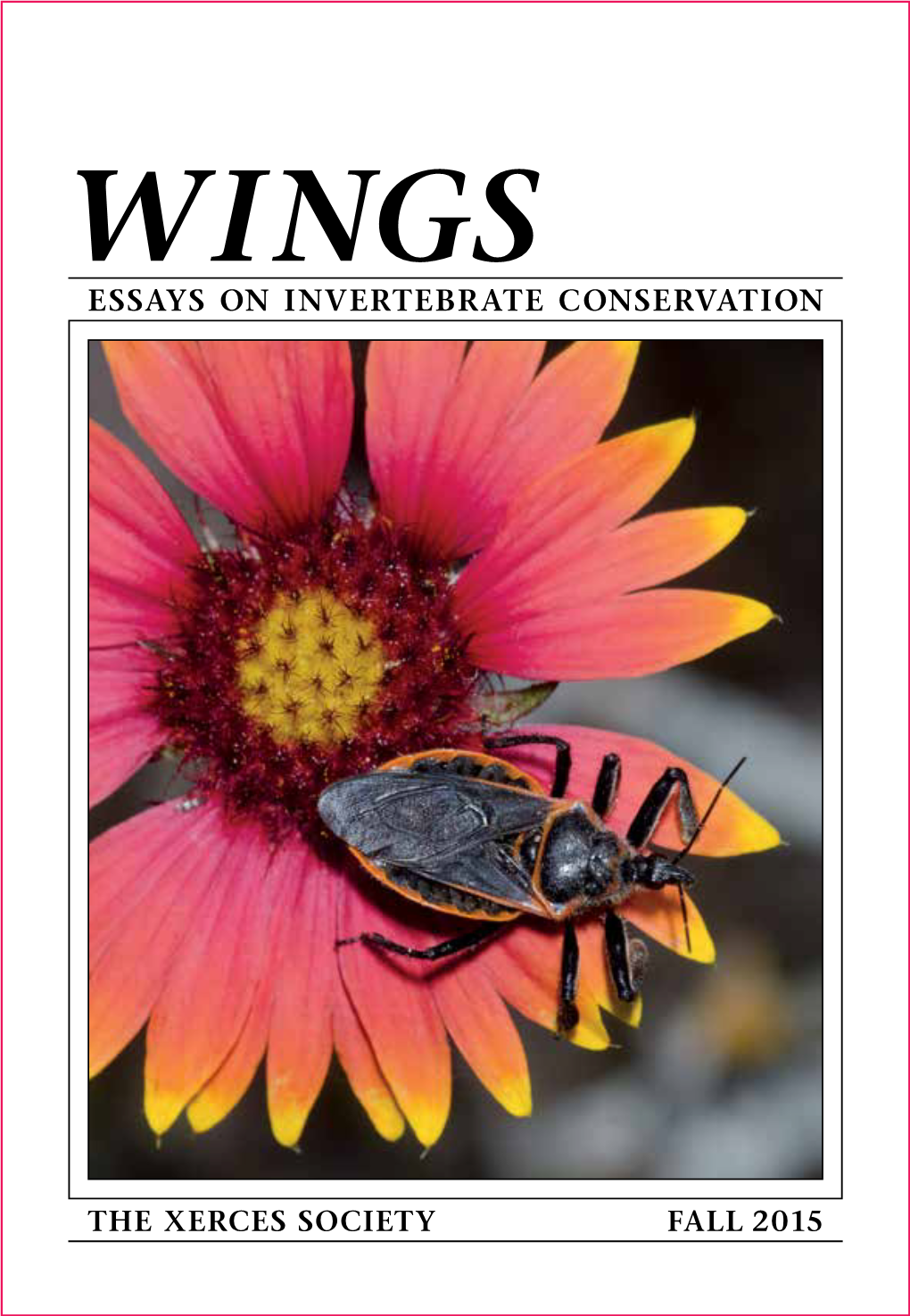 Essays on Invertebrate Conservation