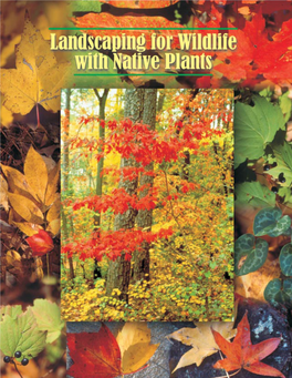 Landscaping for Wildlife with Native Plants 3 Table 1