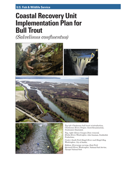 Coastal Recovery Unit Implementation Plan for Bull Trout (Salvelinus Confluentus)
