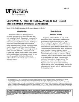 Laurel Wilt: a Threat to Redbay, Avocado and Related Trees in Urban and Rural Landscapes1