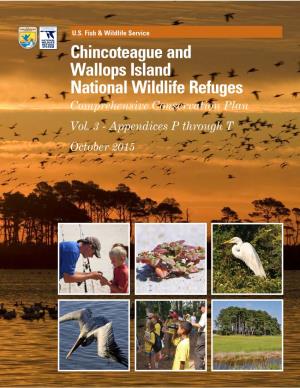 Chincoteague and Wallops Island National Wildlife Refuges Comprehensive Conservation Plan Vol